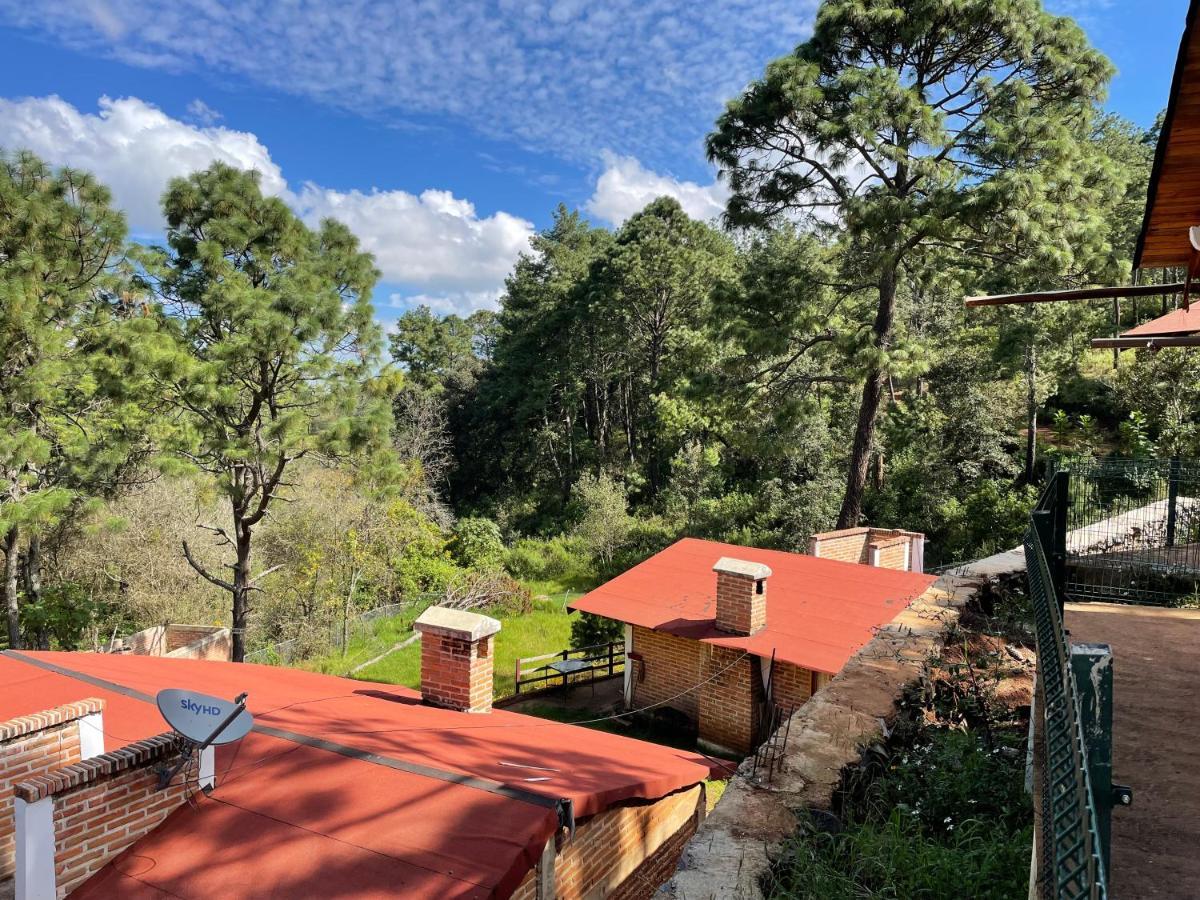 Los Pirineos 마자미틀라 외부 사진